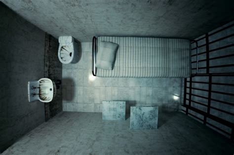 do you get books in solitary confinement: Exploring the Intricate Connection Between Literature and Isolation