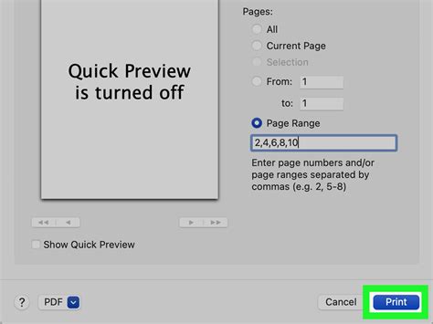 How to Print Double Sided on Chromebook: A Journey Through the Digital Forest